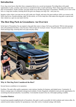 From Fetch to Friends: Why You Need to Visit Greensboro’s Best Dog Park