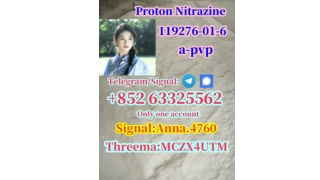 High quality genuine proton nicotine (hydrochloride) 119276-01-6