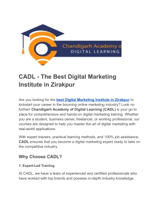 Digital Marketing Institute in Zirakpur