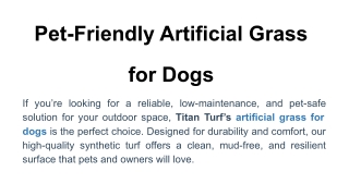 Pet-Friendly Artificial Grass for Dogs