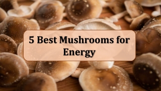 5 Best Mushrooms for Energy