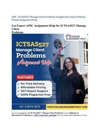 APIC - ICTSAS527 Manage Client Problems . Assignments Help