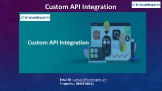 Custom API Integration