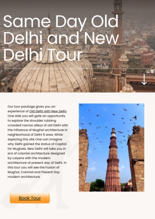 Same Day Old Delhi and New Delhi Tour