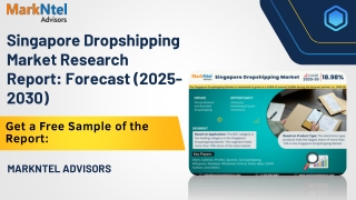 Singapore Dropshipping Market Dynamics – Driver, Challenge, Segment