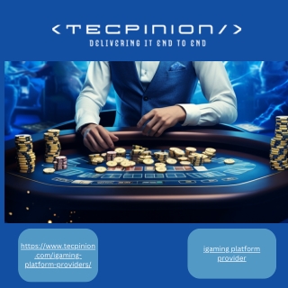 iGaming Software Provider