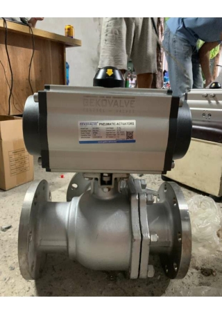 Van bi điều khiển khí nén - htvietnamvalve