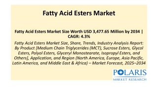 Fatty Acid Esters Market
