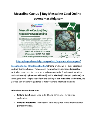 Mescaline Cactus Buy Mescaline Cacti Online - buymdmasafely