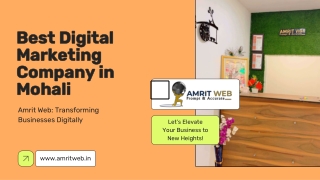 Best Digital Marketing Company in Mohali