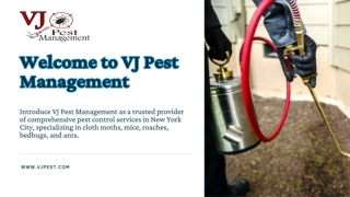 Comprehensive Pest Control Services Tailored for NYC Residents