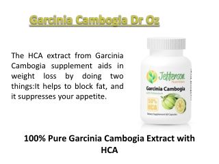 Dr Oz Garcinia Cambogia