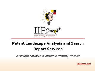 Patent Landscape Analysis and Search Report Services | IIP Search