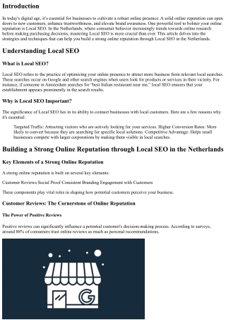 Building a Strong Online Reputation through Local SEO in the Netherlands