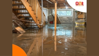 Why Is My Basement Flooding Common Causes and How to Prevent Them