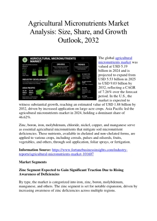 Agricultural Micronutrients Market Study: Size, Share, and Growth Projections, 2