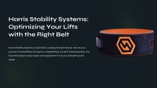 Gym Belt