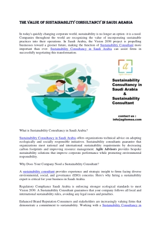 The Value of Sustainability Consultancy in Saudi Arabia