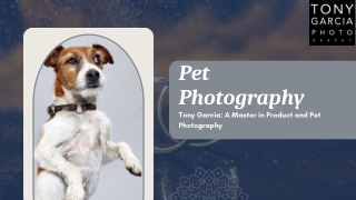 Pet Photography - Tony Garcia (1)