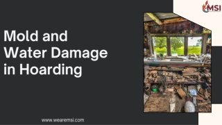 Mold and Water Damage in Hoarding