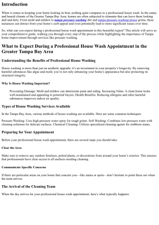 What to Expect During a Professional House Wash Appointment in the Greater Tamp