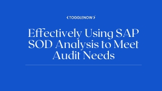 Effectively Using SAP SOD Analysis to Meet Audit Needs