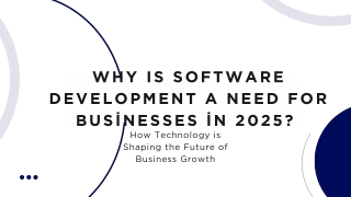 Why Is Software Development a Need for Businesses in 2025