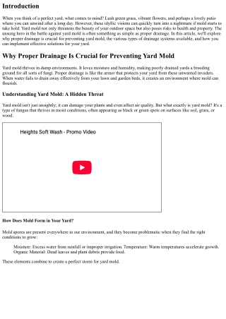 Why Proper Drainage Is Crucial for Preventing Yard Mold