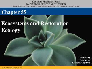 Ecosystems and Restoration Ecology