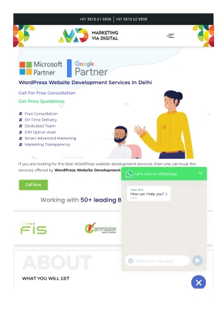WordPress Website Development Services In Delhi