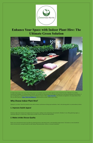 Enhance Your Space with Indoor Plant Hire The Ultimate Green Solution
