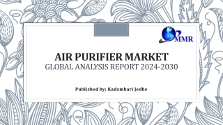 Air Purifier Market Growth, Size, Top Leaders and Forecast 2030