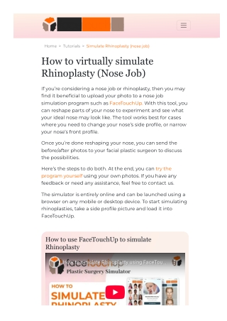 Aesthetic Nose Job Simulator, Visualizer Morphing Software | Rhinoplasty Simulat