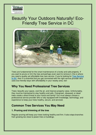 Beautify Your Outdoors Naturally! Eco-Friendly Tree Service in DC