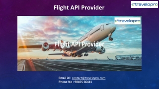 Flight API Provider
