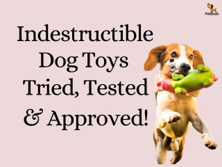 5 Best Indestructible Dog Toys