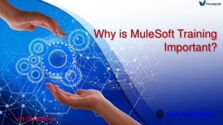 MuleSoft Course Online - MuleSoft Training in India