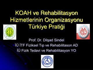 KOAH ve Rehabilitasyon Hizmetlerinin Organizasyonu Türkiye Pratiği