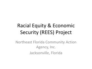Racial Equity & Economic Security (REES) Project