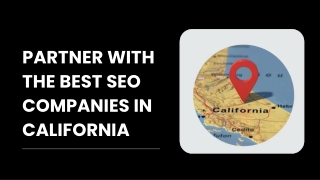 Partner With the Top SEO Companies in California