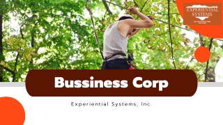 Aerial Adventure Parks  Experientialsystems.com
