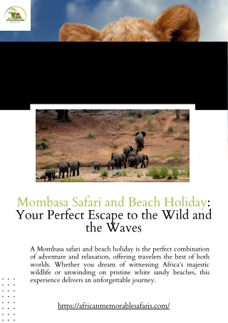 Mombasa Safari and Beach Holiday: Your Perfect Escape to the Wild and the Waves