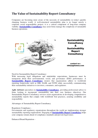 The Value of Sustainability Report Consultancy