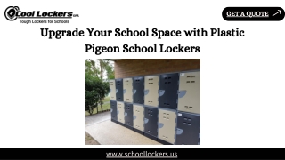 Upgrade Your School Space with Plastic Pigeon School Lockers
