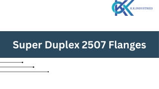 Super Duplex 2507 Flanges