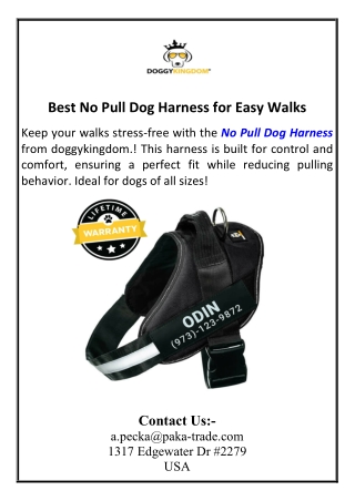 Best No Pull Dog Harness for Easy Walks