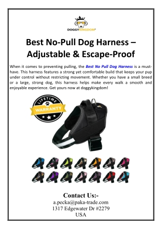 Best No-Pull Dog Harness – Adjustable & Escape-Proof