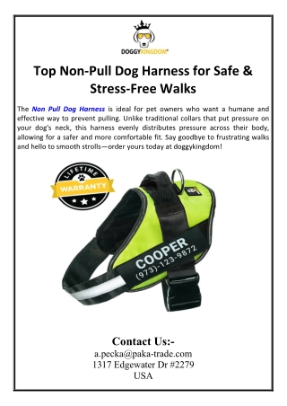 Top Non-Pull Dog Harness for Safe & Stress-Free Walks