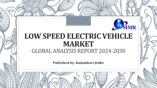 Low Speed Electric Vehicle Market Size, Growth, Trends and Forecast 2030