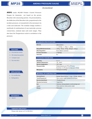 Amonia Pressure Gauge - Economical